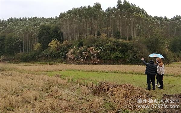 彰化县陈老师带着爱徒寻龙点穴